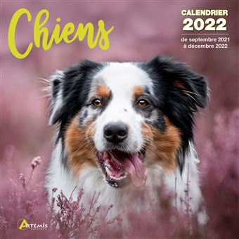 Agenda Et Calendrier Animaux Idee Et Prix Agendas Et Calendriers Fnac