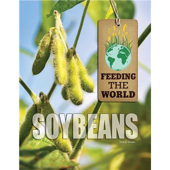 Soybeans - 1