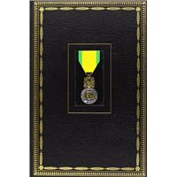 Vitrine pour médailles, décorations et pin's - Vitrines