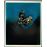 Les Loups de Haute Mer DVD_12