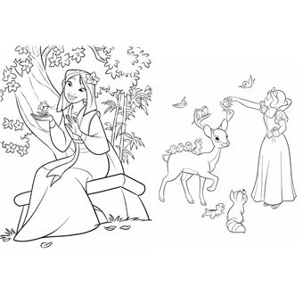 DISNEY PRINCESSES - Maxi Colo