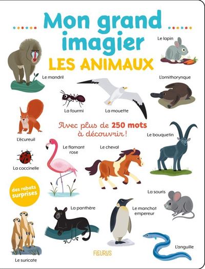 Mon grand imagier . Les animaux -  Collectif - cartonné