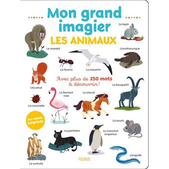 Mon Grand Imagier Les Animaux Cartonn Collectif Achat Livre Fnac