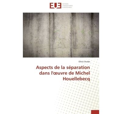 Aspects de la séparation dans l'ouevre de Michel Houellebecq