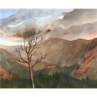 Le dragon ne dort jamais