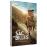 Un sac de billes DVD_0