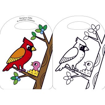 Les bébés animaux du jardin