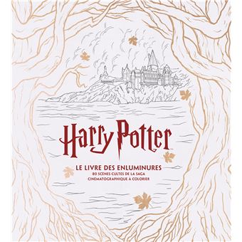 Harry Potter Le grand livre de coloriage  broché  Collectif  Achat