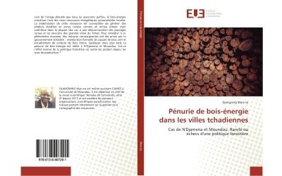 Penurie de bois-energie dans les villes tchadiennes - cas de