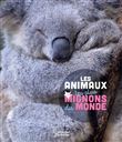 Les animaux les plus mignons du monde