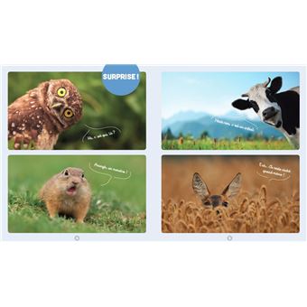 Les animaux les plus mignons du monde