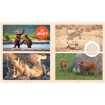 Les animaux les plus mignons du monde