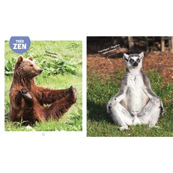 Les animaux les plus mignons du monde