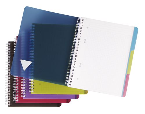 Cahier reliure intégrale de 180 pages Clairefontaine Evolutiv Book 16 x 21 cm Modèle aléatoire