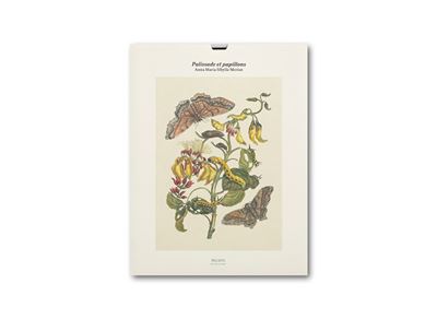 Tirage - Palissade et papillons - Anna Maria Sybilla Merian - (donnée non spécifiée)