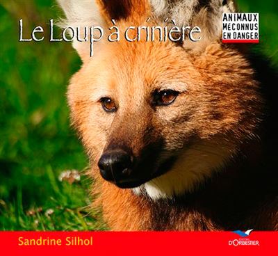 Le Loup À Crinière - Sandrine Silhol - broché