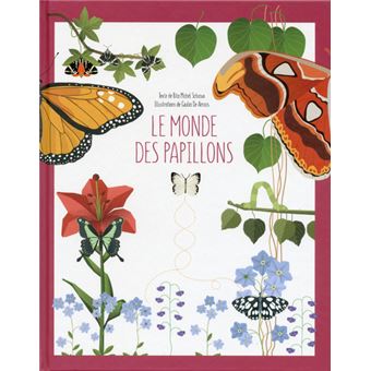 Le monde des papillons