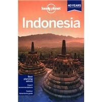 INDONESIA 2013 LONELY PLANET