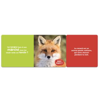 Animoscope - les animaux de la forêt