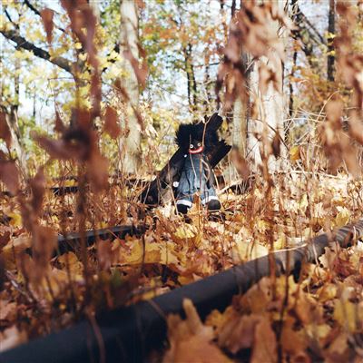 洋楽 billy woods - GOLLIWOG GHETTO RECORDS Golliwog.jpg