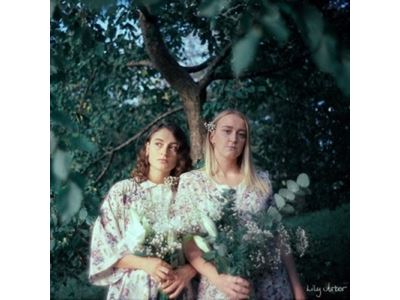 Lily Arbor