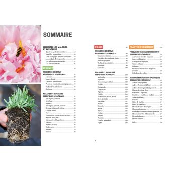 Les solutions de biocontrôle pour soigner les plantes du jardin