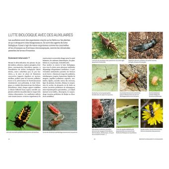 Les solutions de biocontrôle pour soigner les plantes du jardin