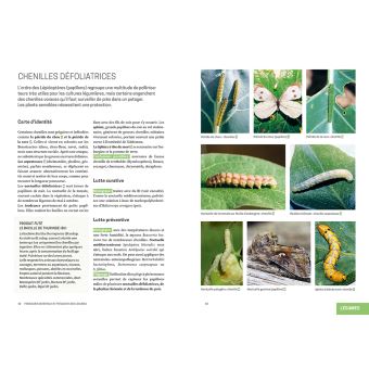 Les solutions de biocontrôle pour soigner les plantes du jardin