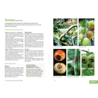 Les solutions de biocontrôle pour soigner les plantes du jardin