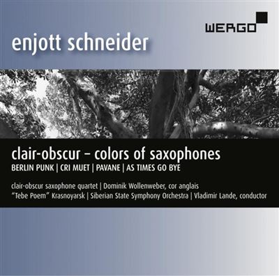 Clair-Obscur Colors Of Saxophones