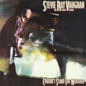 Stevie Ray Vaughan - 1