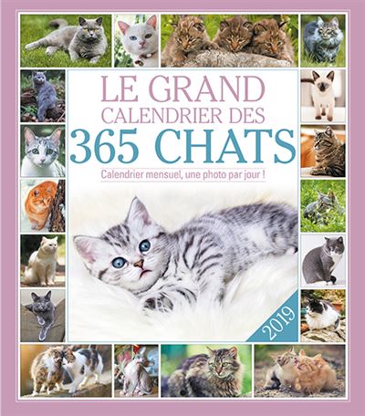 Le grand Calendrier des 365 chats 2019