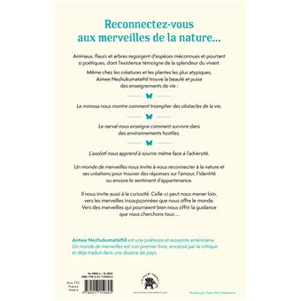 Un monde de merveilles