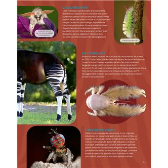 Les animaux étranges