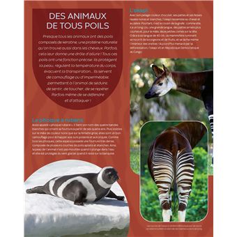 Les animaux étranges