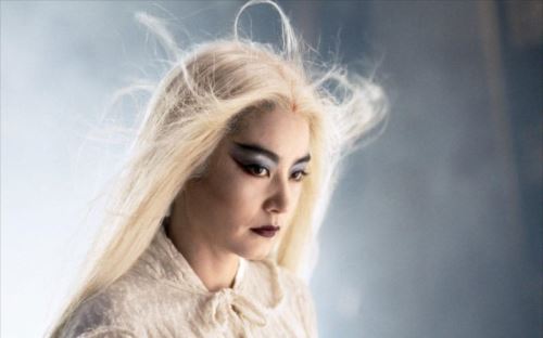 Coffret The Bride With White Hair Et The Bride With White Hair 2