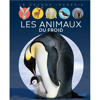Les animaux du froid