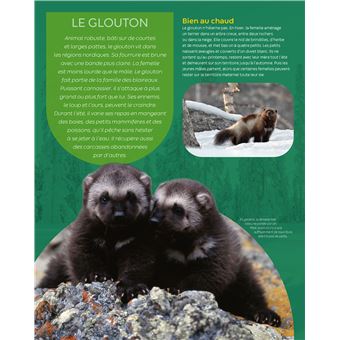 Les animaux du froid