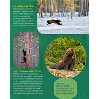 Les animaux du froid