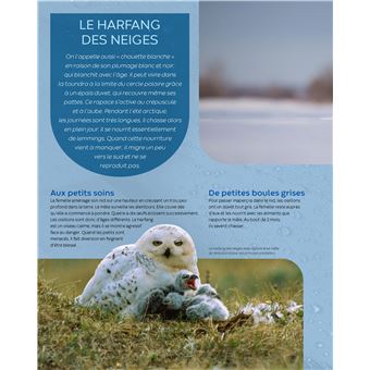 Les animaux du froid