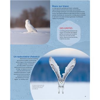 Les animaux du froid