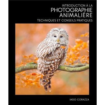 Introduction à la photographie animalière - Techniques et conseils pratiques