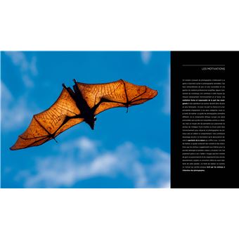 Introduction à la photographie animalière - Techniques et conseils pratiques