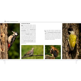 Introduction à la photographie animalière - Techniques et conseils pratiques