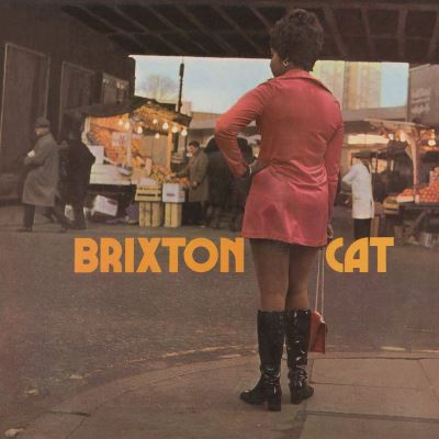 Brixton Cat Vinyle coloré