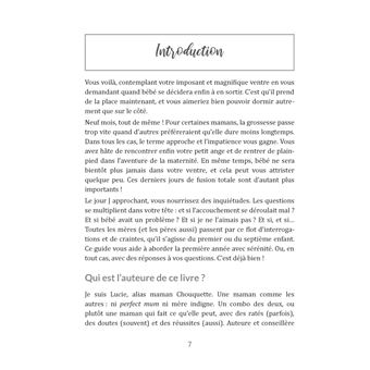 Le grand guide de l'apprentie maman