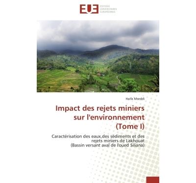 Impact des rejets miniers sur l'environnement (Tome I) Caractérisation ...