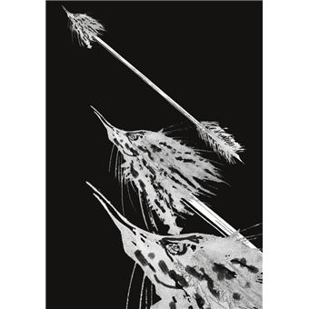 Les récits de Ventre Jaune, Archipirate