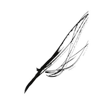 Les récits de Ventre Jaune, Archipirate