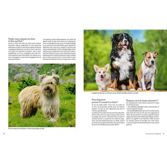 Adopter un chien en refuge